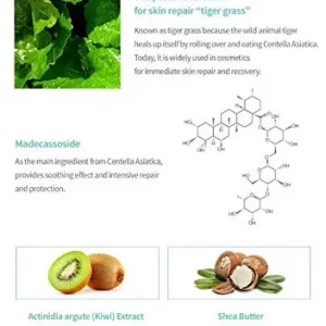 Dr.Ceuracle Cica Regen 70 Cream 6