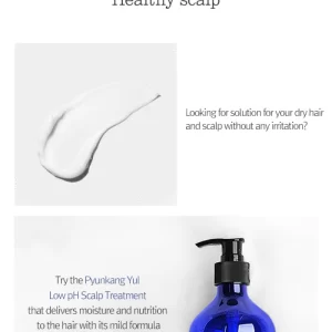 PKY Low pH Scalp Treatment 4
