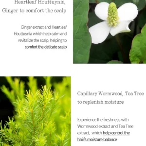 PKY Low pH Scalp Treatment 7